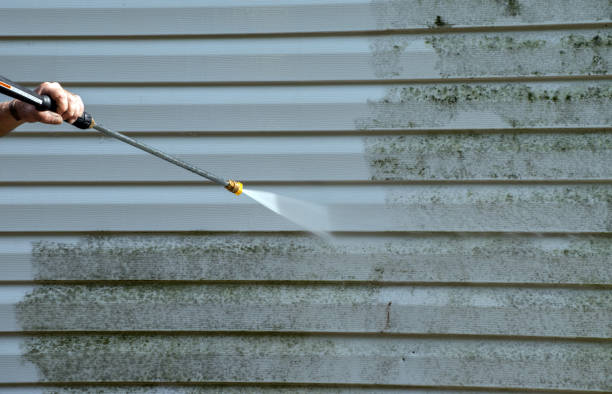 Best Mold Remediation for Specific Building Types in Inglis, FL